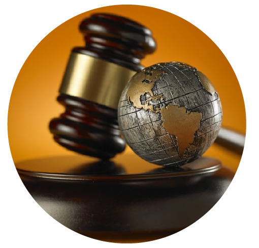 Dominio Profesional del Derecho Penal Moderno
