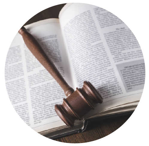 Actualización Integral en Derecho Constitucional